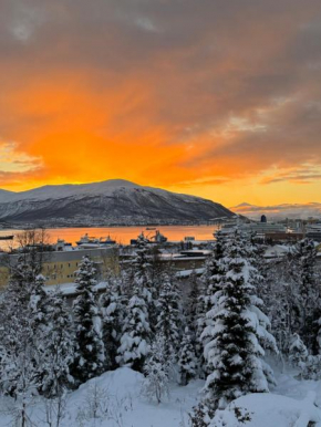 Arctic retreat - spacious apartment next to amazing nature